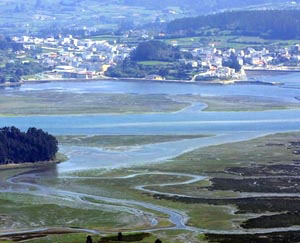 Ortigueira es un municipio Pet Friendly de Ferrolterra